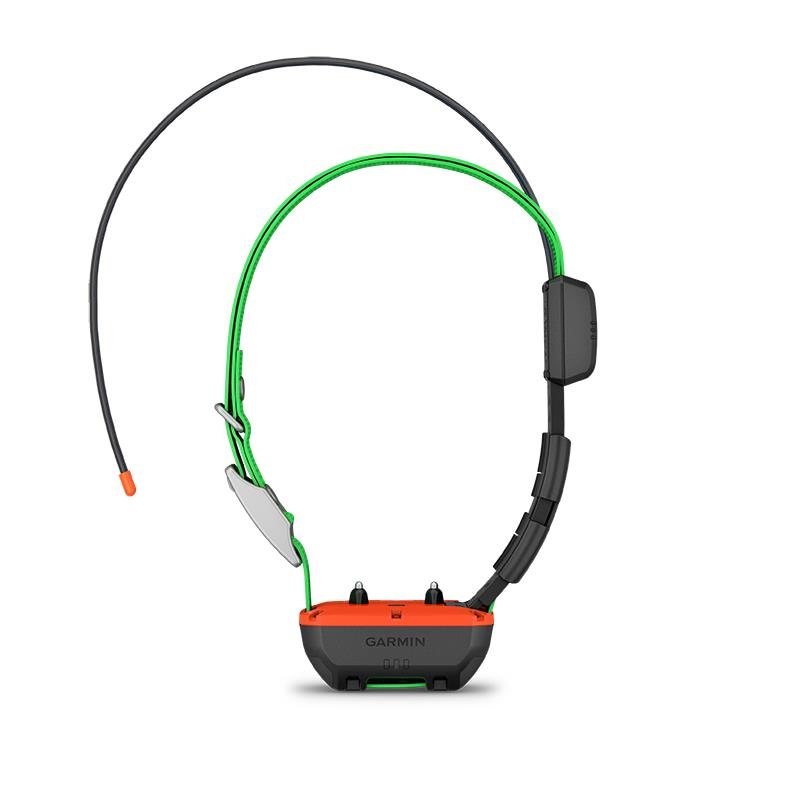 Collier Garmin Supplémentaire De Reperage Et Dressage Tt25 F – Image 2