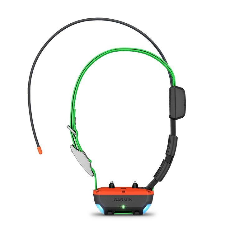 Collier Garmin Supplémentaire De Reperage Et Dressage Tt25 F – Image 3