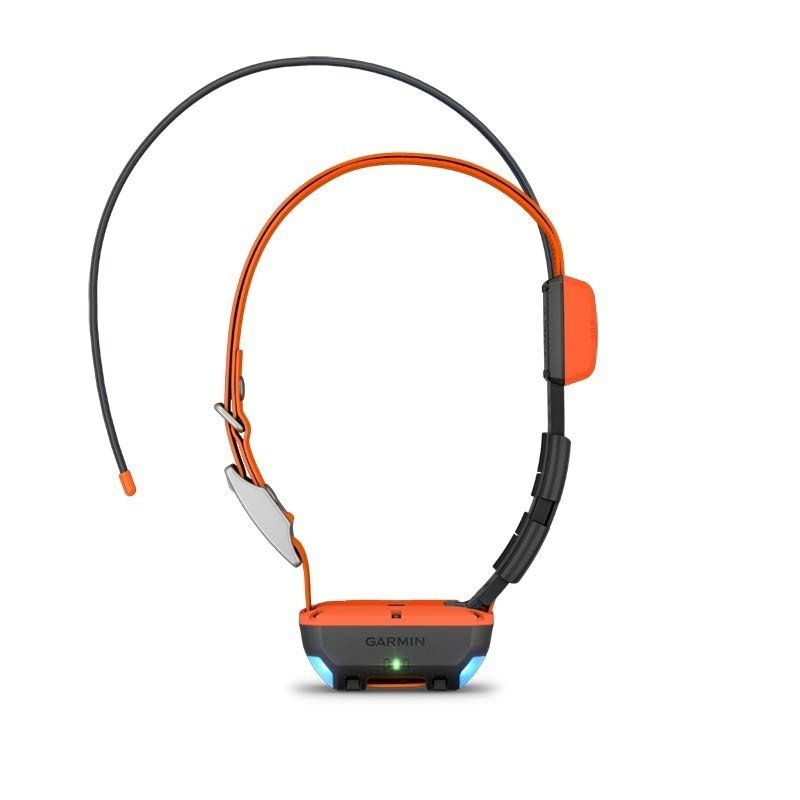 Pack Garmin Télécommande Alpha 200 Plus F Avec Collier De Repérage T20 F – Image 4