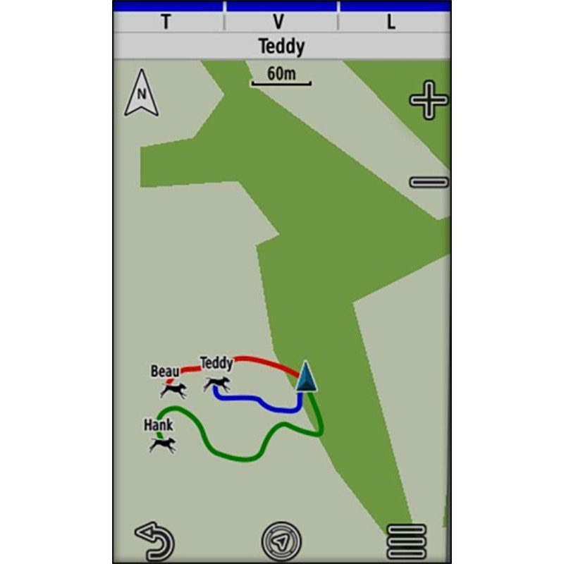Télécommande Pour Collier De Repérage Et Dressage Garmin Alpha 200 Plus F – Image 8